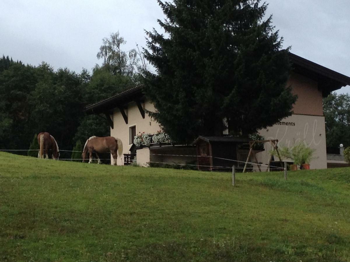 Appartements Kroell, Joker Card In Summer Included! Saalbach-Hinterglemm Esterno foto